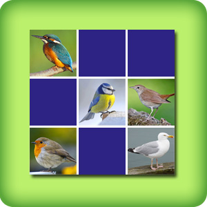 Memorama con las Aves comunes (2)