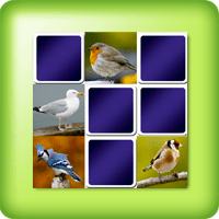 Juego Memoria o Memorama - las aves comunes