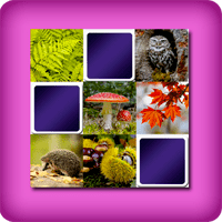 Juego de Memoria o Memorama gigante - el Bosque