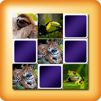 Juego Memoria o Memorama animales tropicales