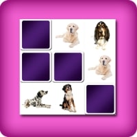 Juego Memoria o Memorama gigante - los peros