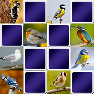 juego de memoria para adultos - las aves comunes