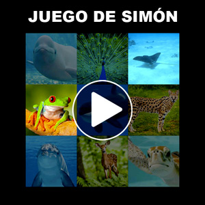 Juego de Simón online con animales